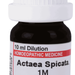  Actaea Spicate 1M