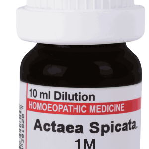  Actaea Spicate 1M