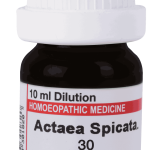  Actaea Spicate 30