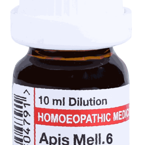 Apis Mell 6