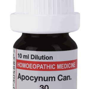  Apocynum 30