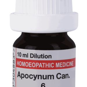  Apocynum 6