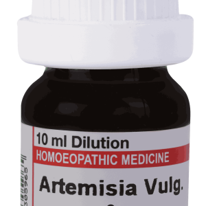  Artemisia Vulgaris 6