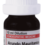  Arundo Mauritancia 200