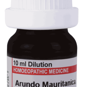  Arundo Mauritancia 200
