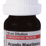  Arundo Mauritancia 30
