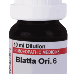  Blatta Ori 6