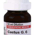 Cactus G 6