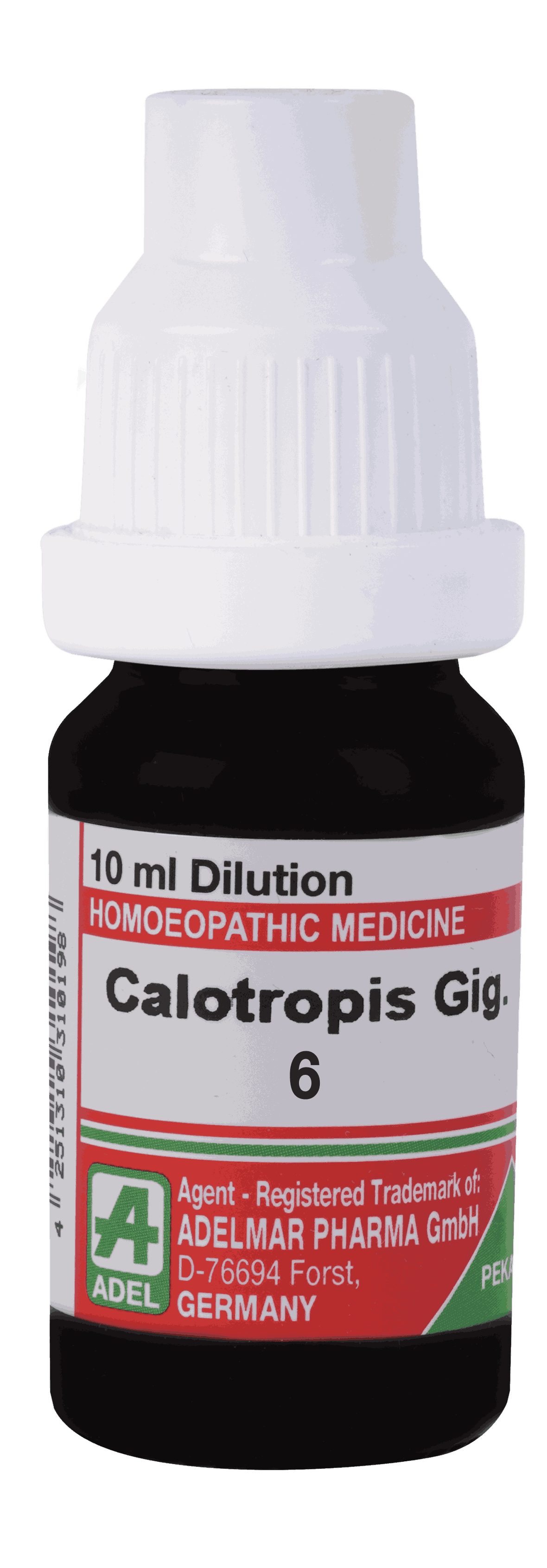  Calotropis Gig 6