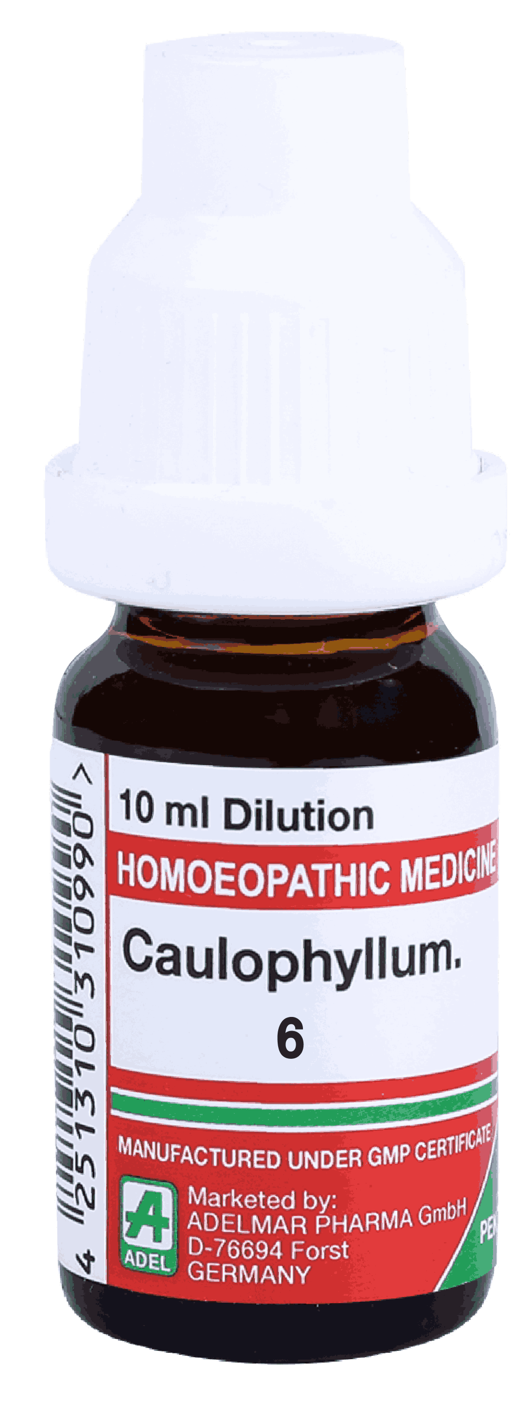  Caulophyllum 6
