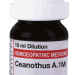  Ceanothus A. 1M