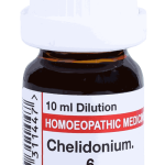  Chelidonium  6