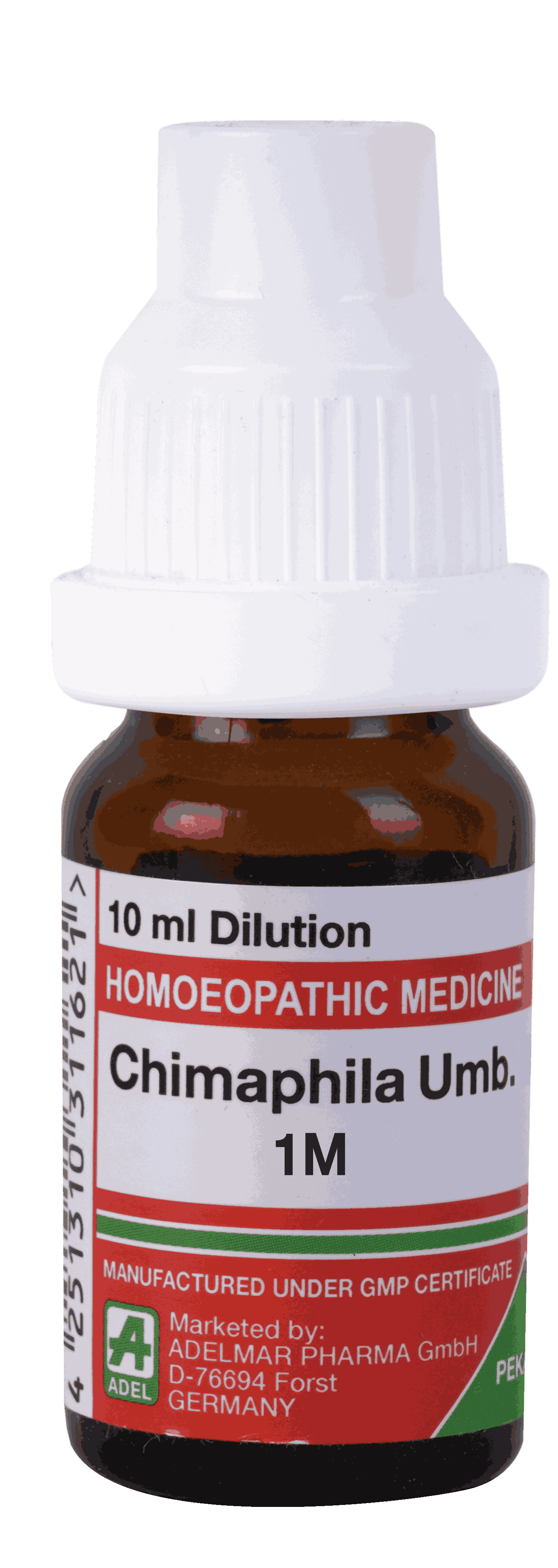  Chimaphila Umb 1M