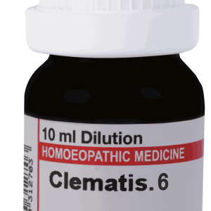  Clematis  6