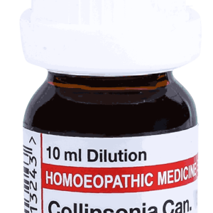  Collinsonia Can  50M