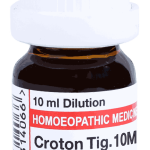  Croton Tig   10M