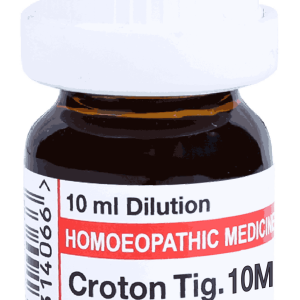  Croton Tig   10M