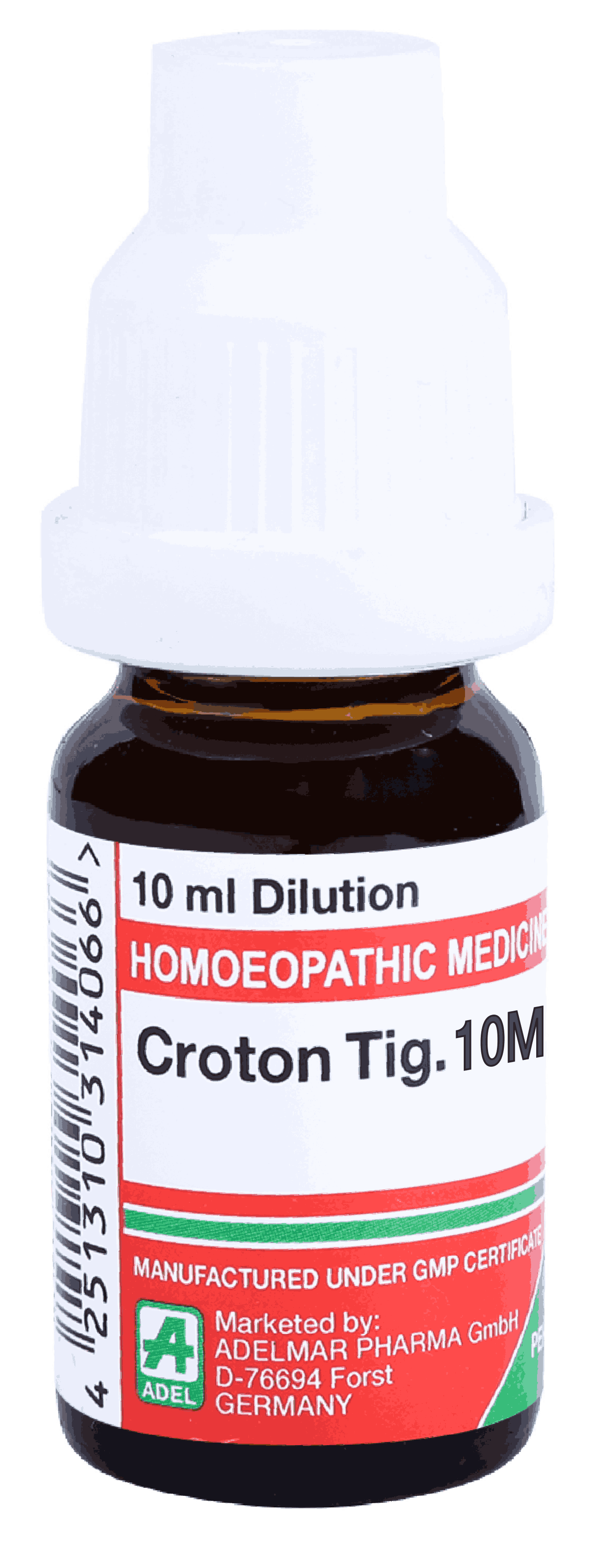  Croton Tig   10M
