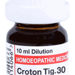  Croton Tig   30