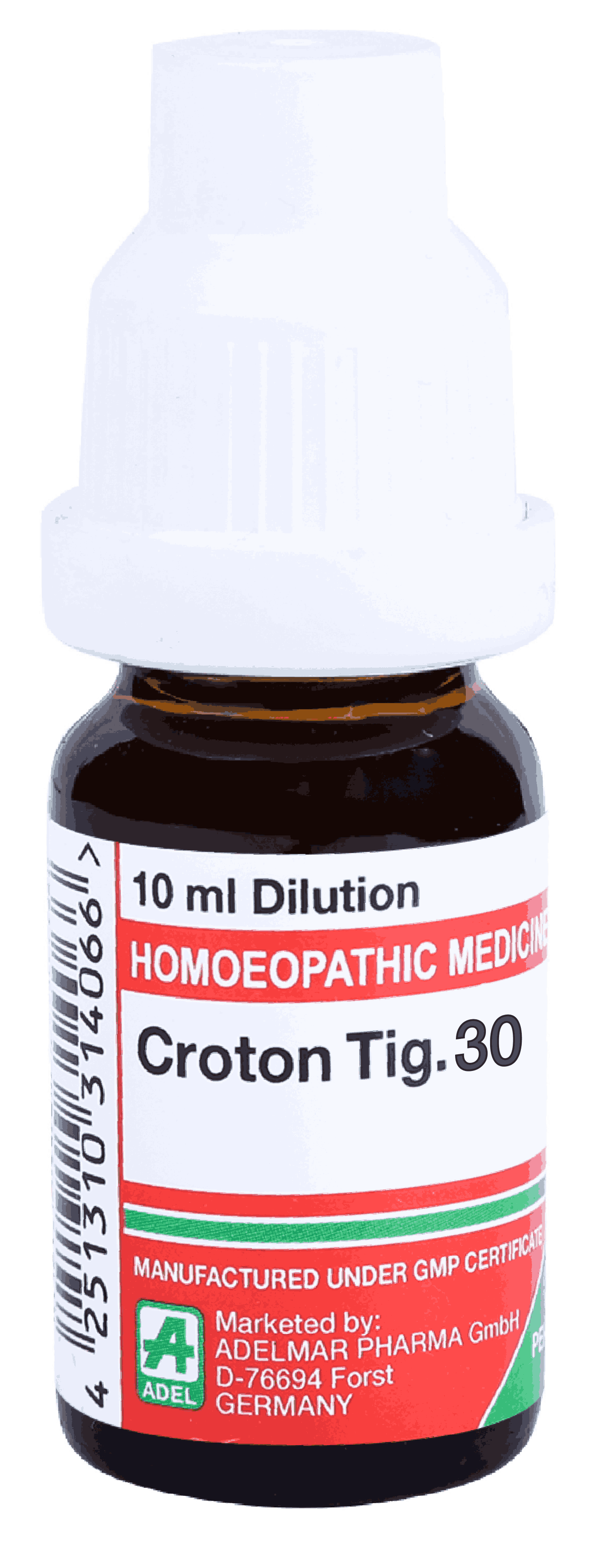  Croton Tig   30