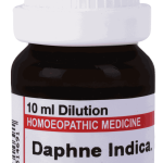  Daphne Indica  1M
