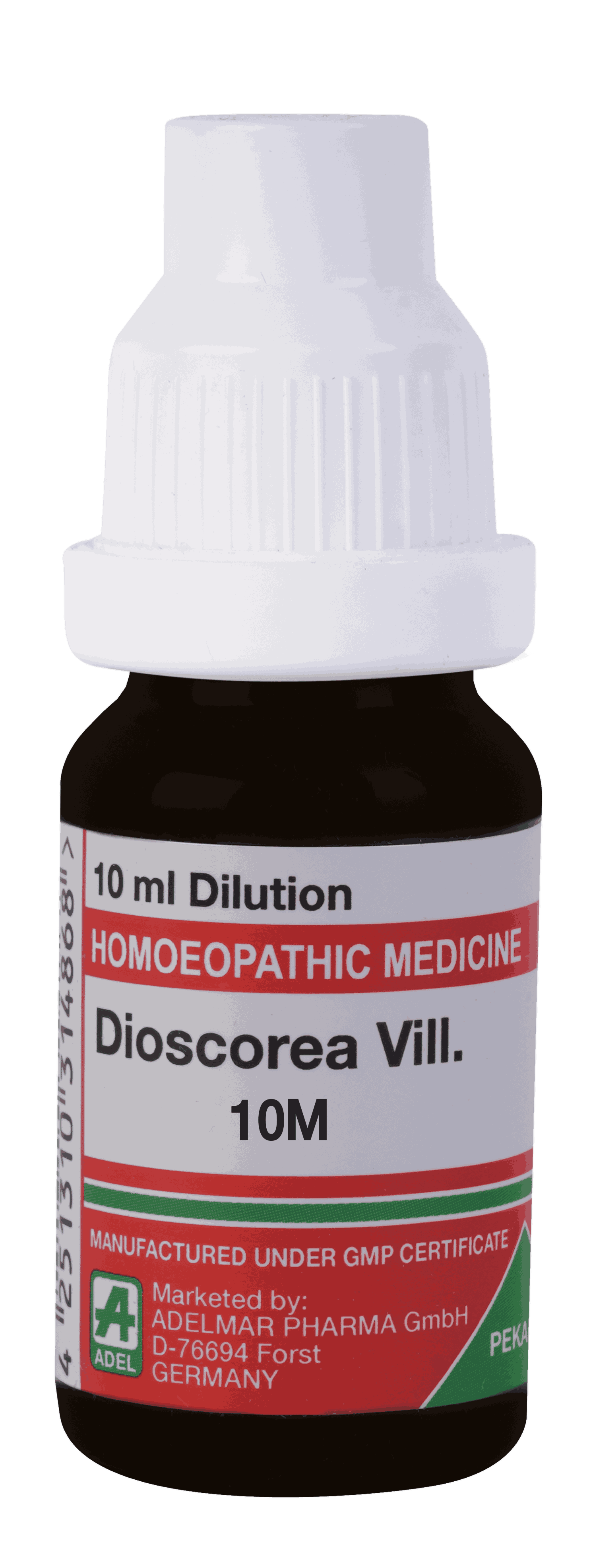  Dioscorea Vill  10M