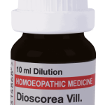  Dioscorea Vill  1M