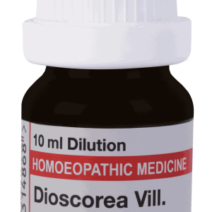  Dioscorea Vill  6