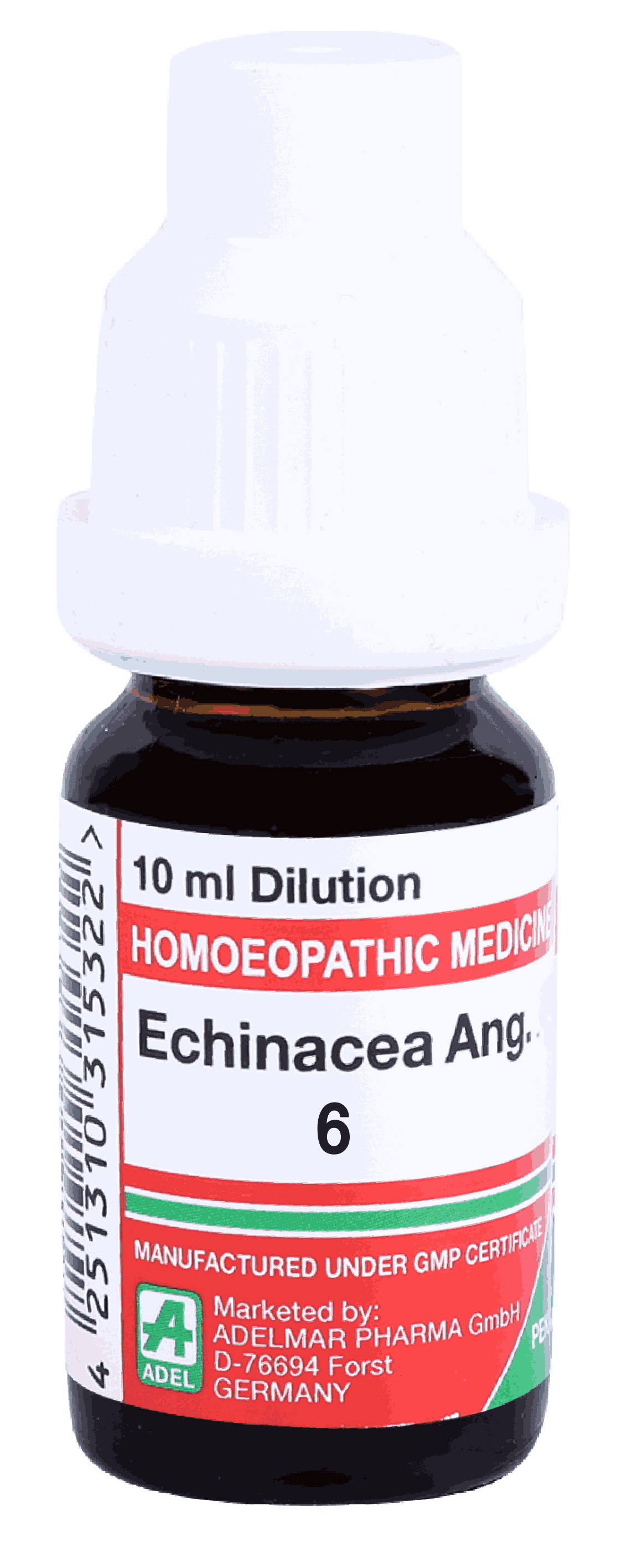  Echinacea Ang  6