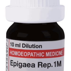  Epigaea Rep  1M