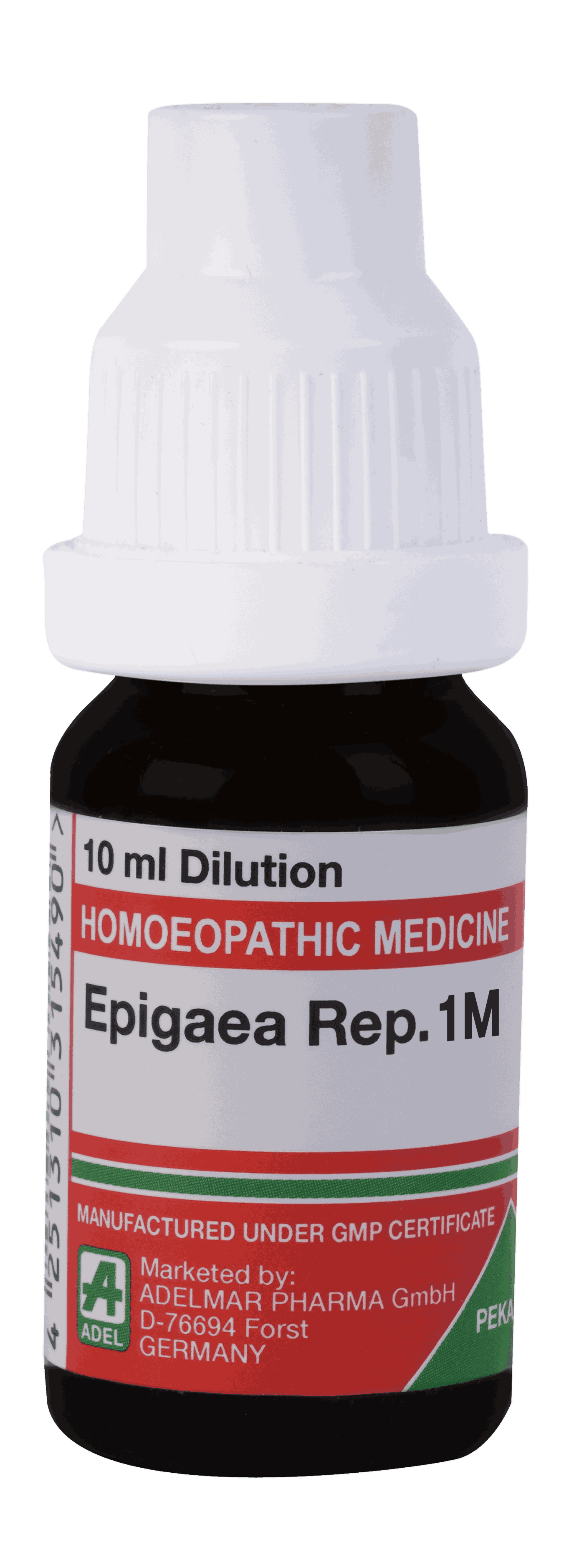  Epigaea Rep  1M