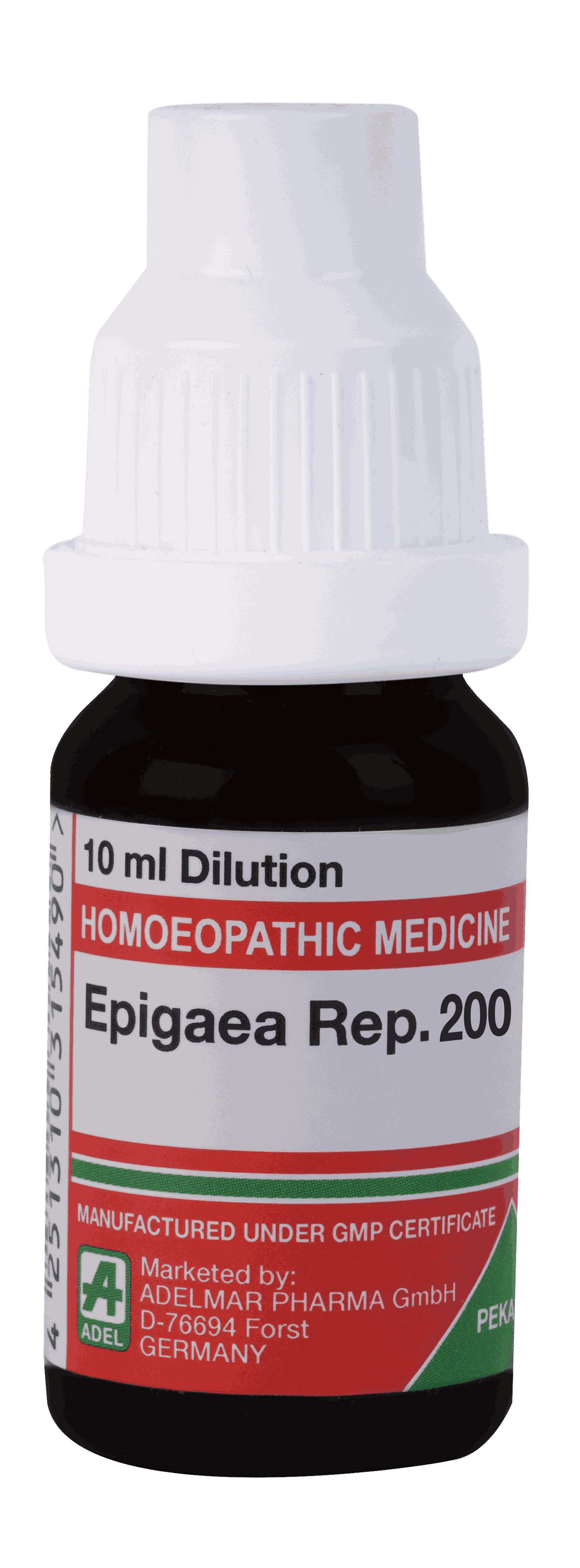  Epigaea Rep  200