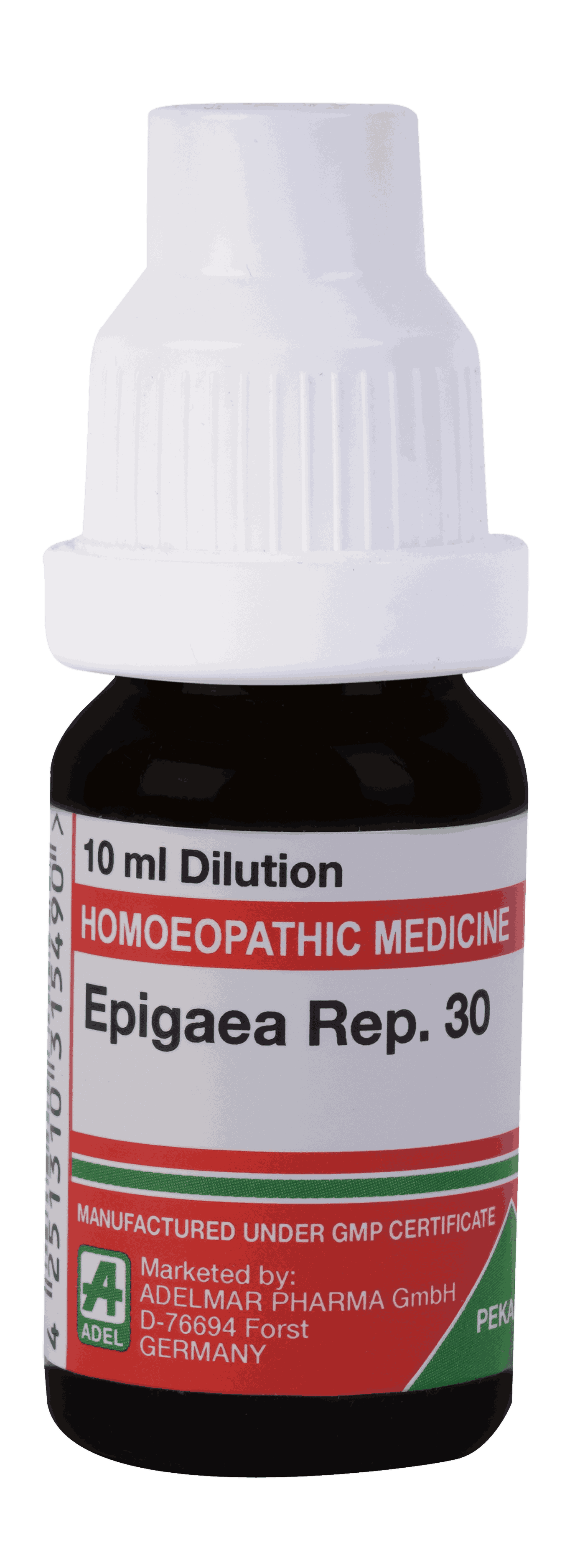  Epigaea Rep  30