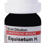  Equisetum H.  1M