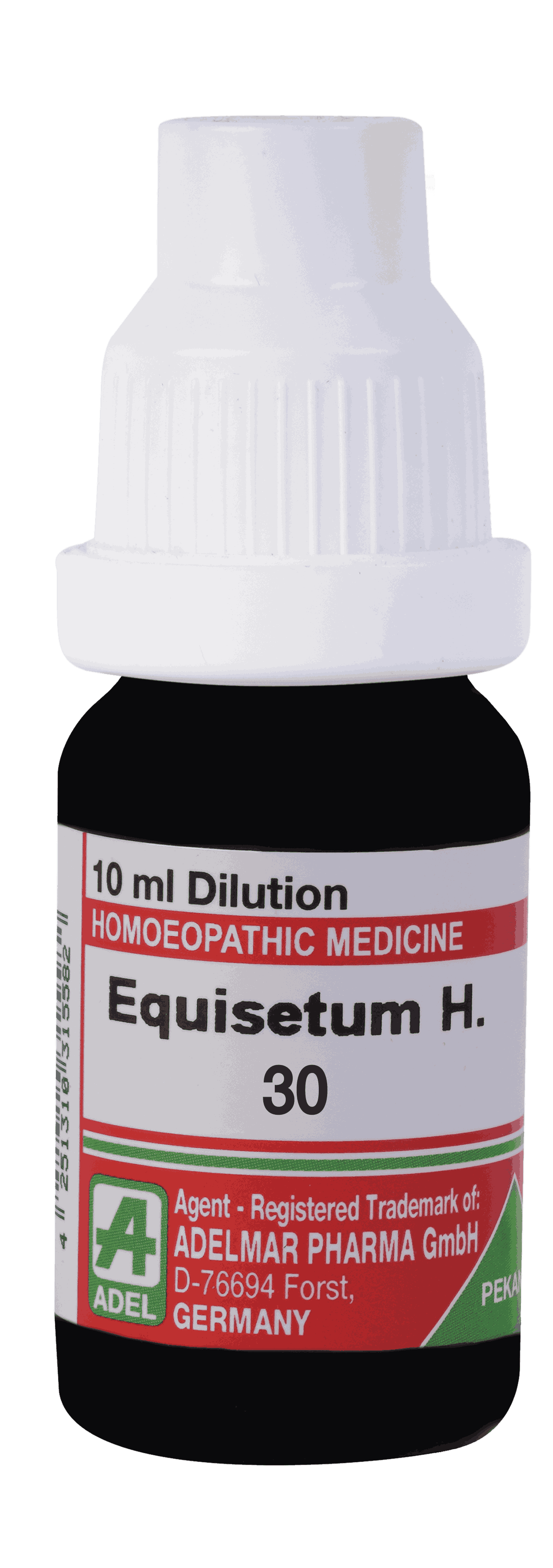  Equisetum H.  30