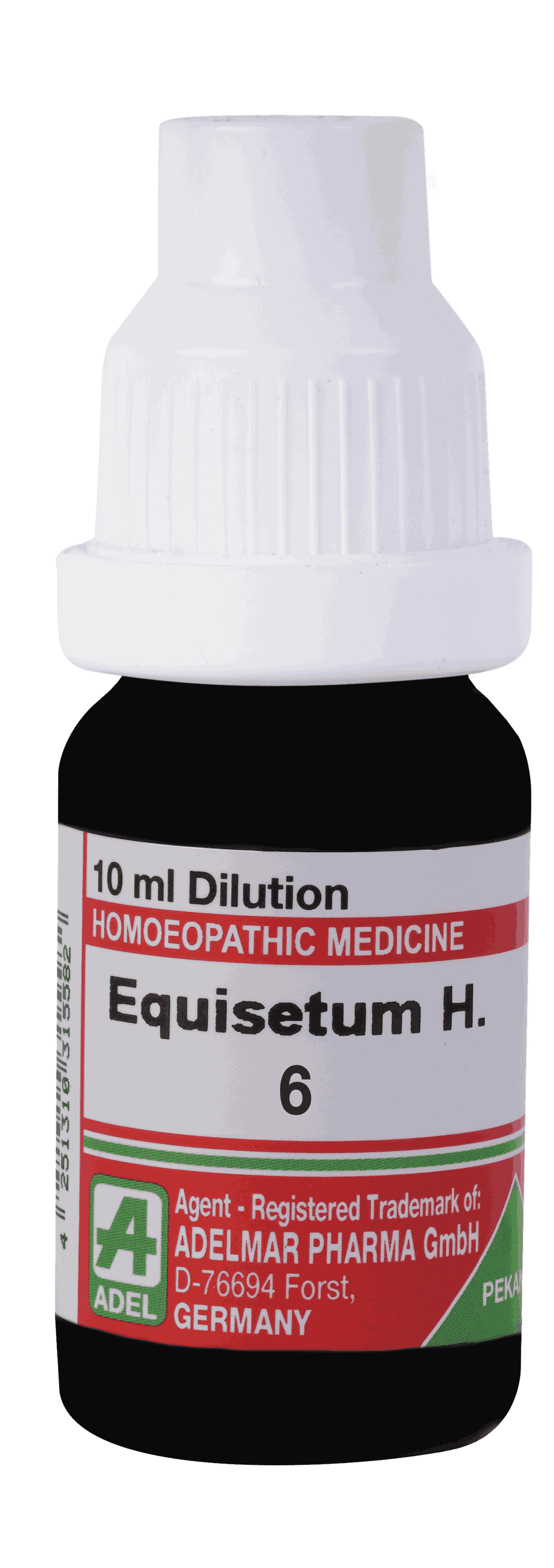  Equisetum H.  6