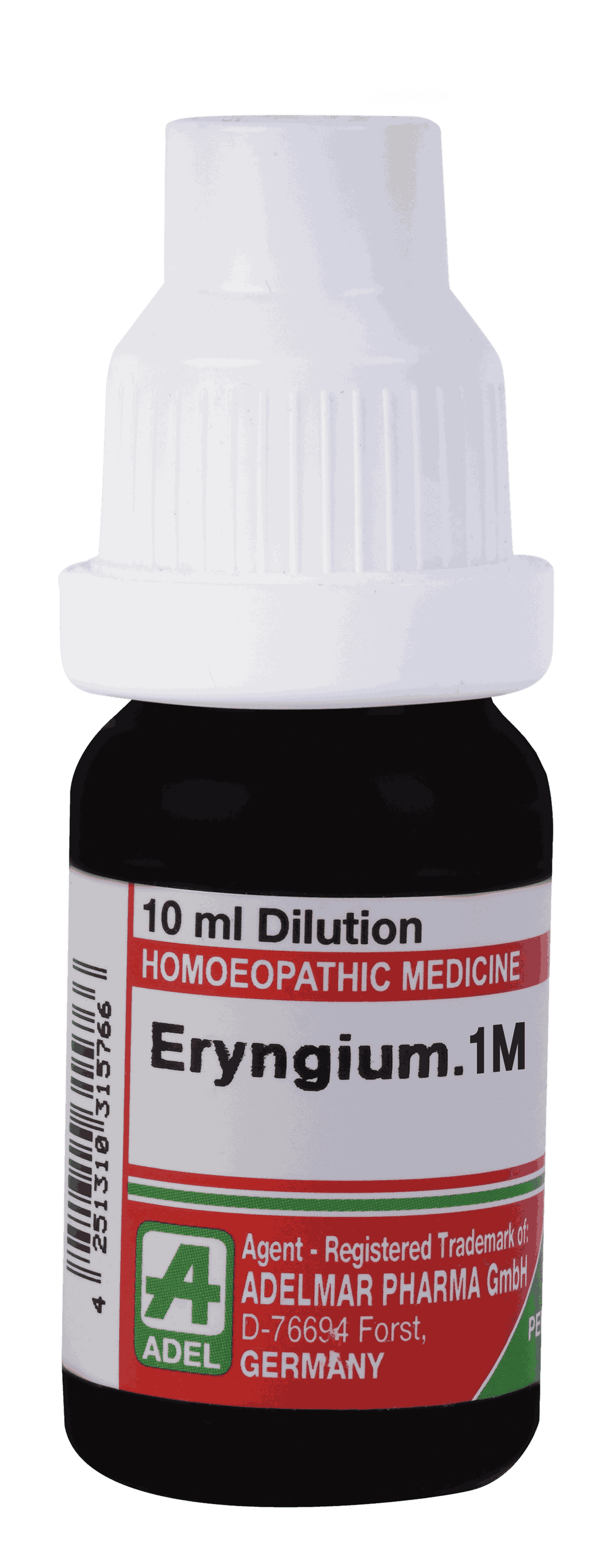  Eryngium  1M