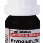  Eryngium  200