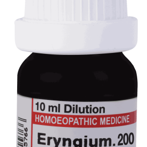  Eryngium  200