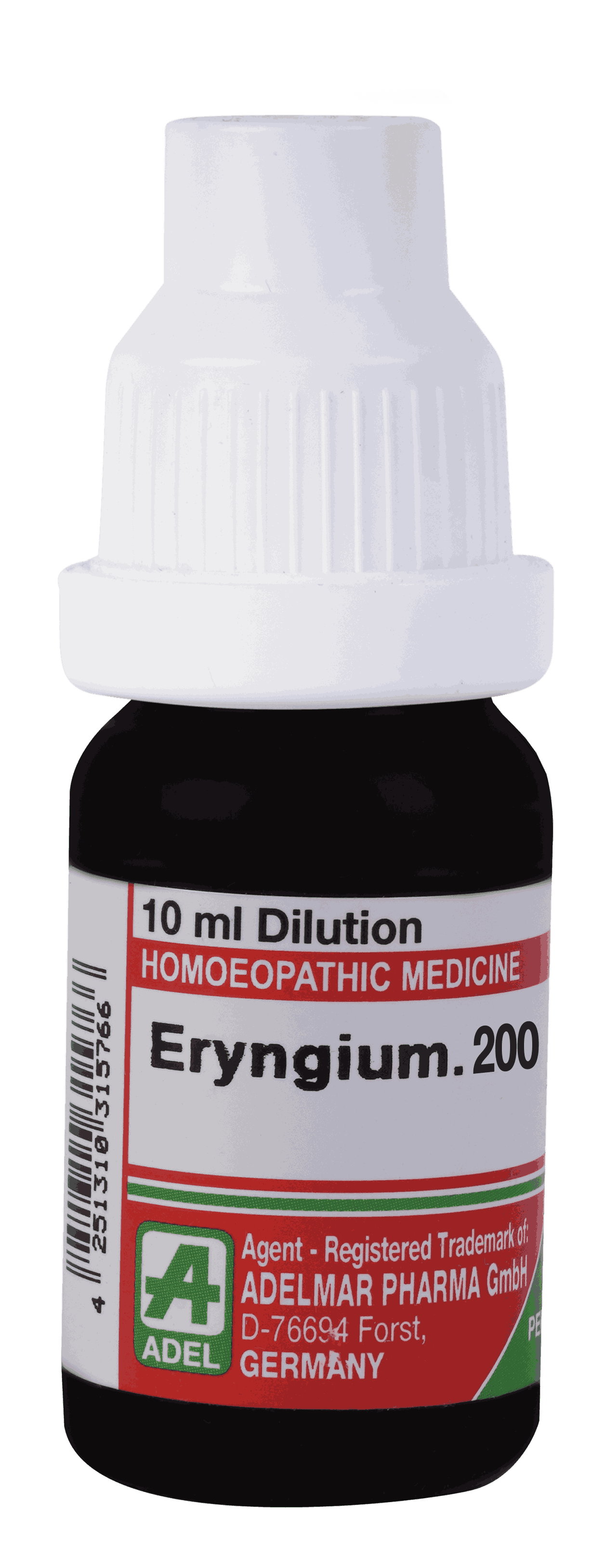  Eryngium  200