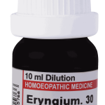  Eryngium  30