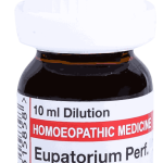  Eupatorium Perf.  10M