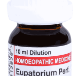  Eupatorium Perf.  1M