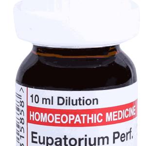  Eupatorium Perf.  1M