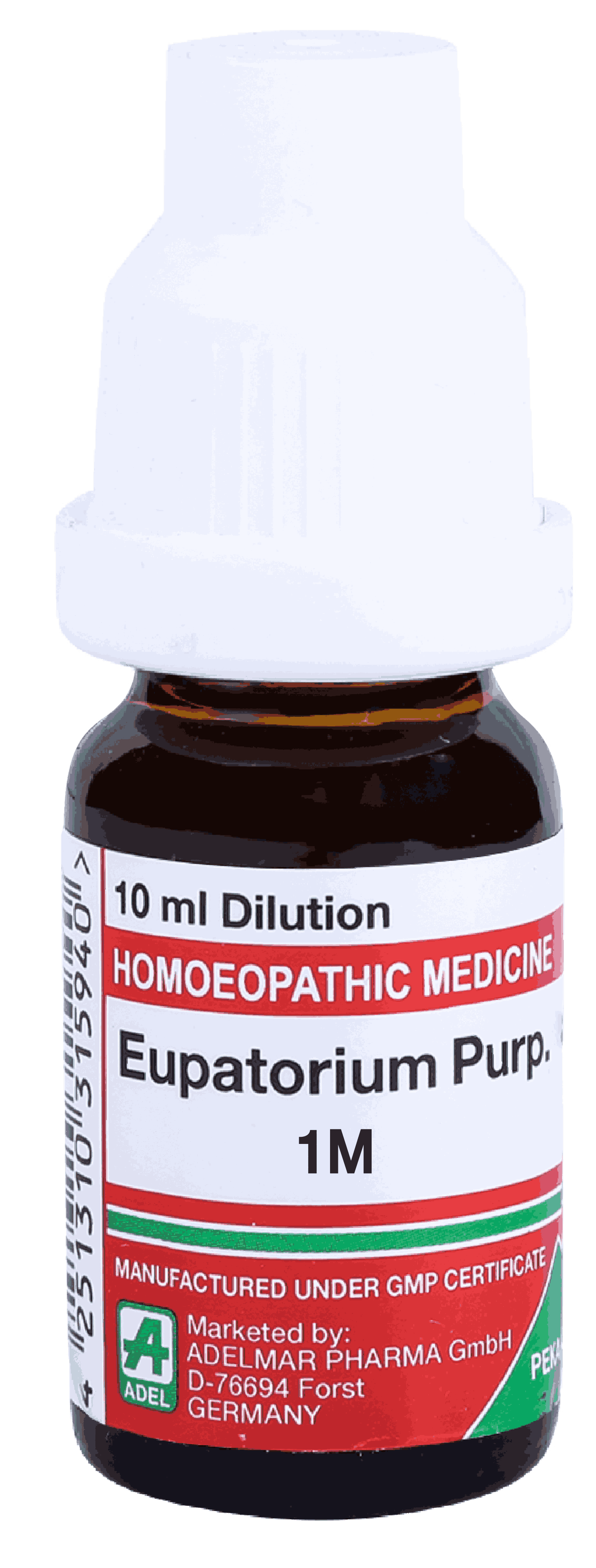  Eupatorium Purp  1M