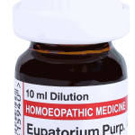  Eupatorium Purp  200