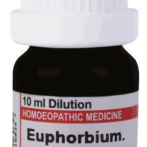  Euphorbium  1M