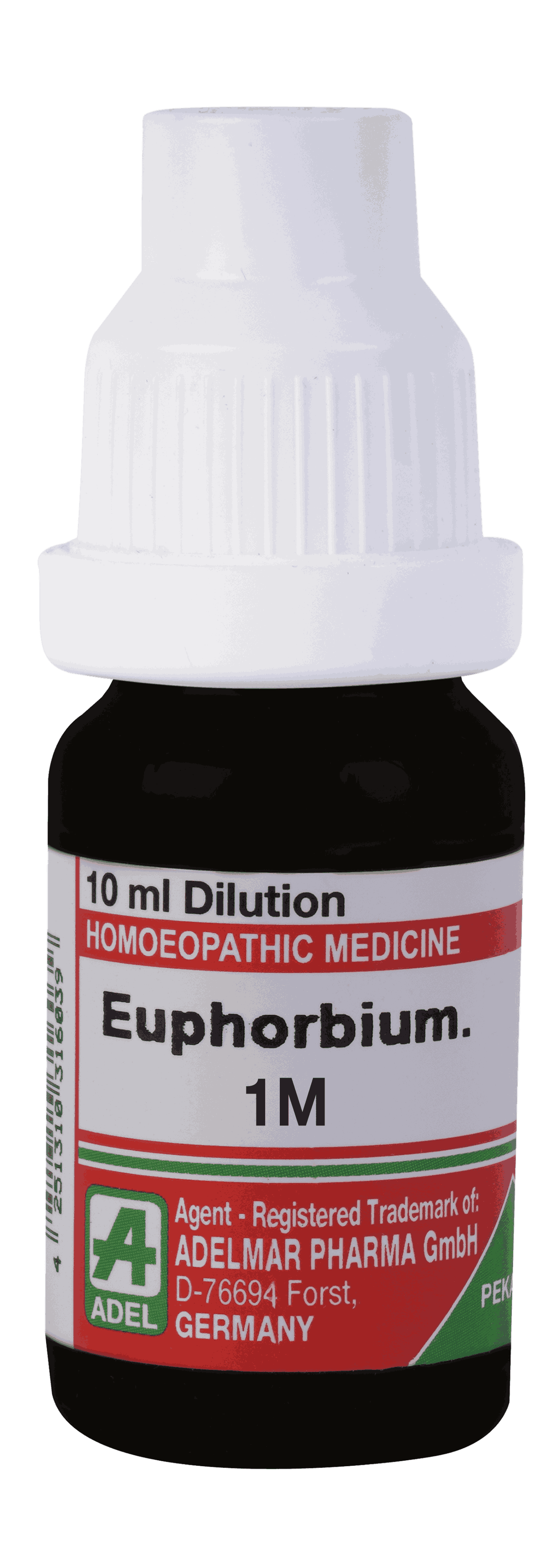  Euphorbium  1M