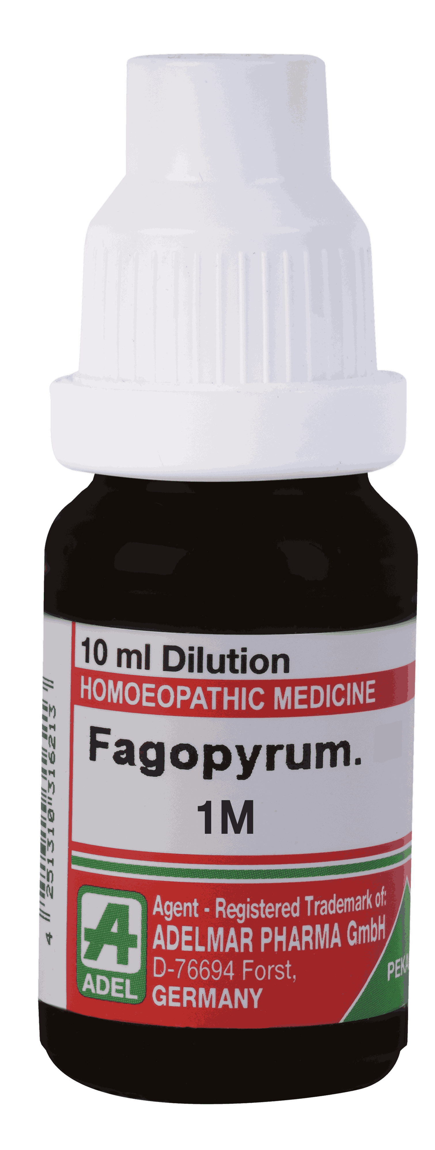  Fagopyrum  1M