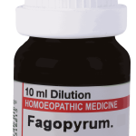  Fagopyrum  30